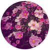 Muurcirkel Roze Bloemen &Oslash; 60 cm Forex