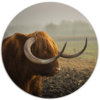 Muurcirkel Bull &Oslash; 25 cm Forex